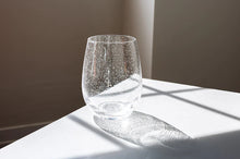 Load image into Gallery viewer, Seed Glass Stemless Goblet