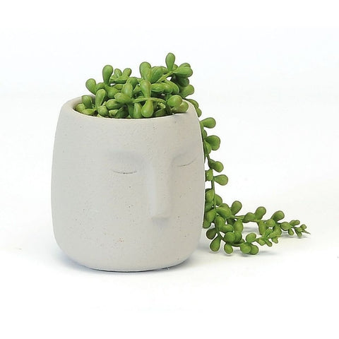 Grey Face Terracotta Planter - Medium